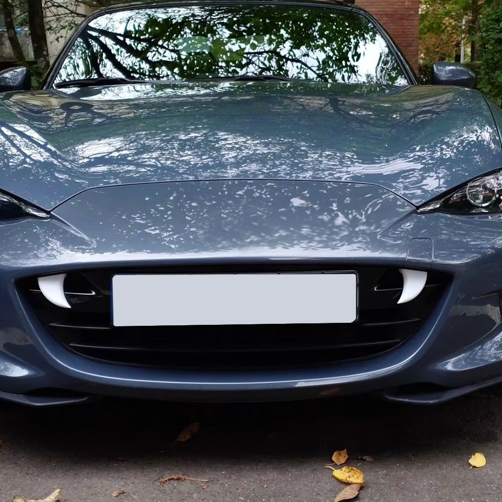 2 pezzi di accessori decorativ - 3D Printing Car recensione e prezzo
